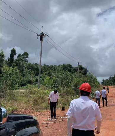 Wisdom Repairs Faulty Poles in time