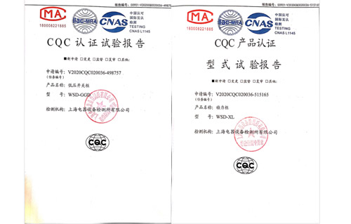 Our Company Obtained the Test Report of Power Cabinet and Low Voltage Switch Cabinet.